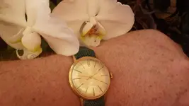 IMGP2728.webp