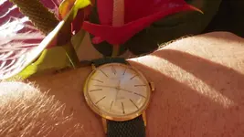 IMGP2730.webp