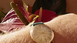 IMGP2731.webp