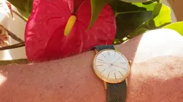 IMGP2732.webp
