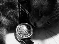 E11C6D99-8857-4F9E-B03A-86AE25BAF4EB.webp