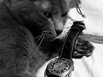 01BFF5F4-DDFF-4625-A88E-B0AAE4129A04.webp