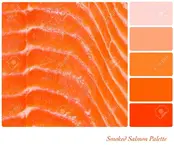 22927971-un-fondo-de-salmón-ahumado-en-una-paleta-de-colores-con-muestras-de-color-de-cortesía.webp