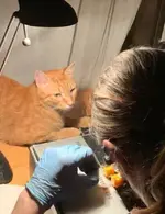 D2C14ABE-C669-4561-B034-B8DE72D228DD.webp D2C14ABE-C669-4561-B034-B8DE72D228DD.webp