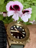 6B03CE39-9EFF-4E54-A258-5CAD332E7535.webp