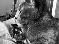 D61FF4B1-BB0C-4AE9-95EA-1121F08058CE.webp
