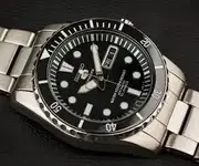 sea urchin.webp