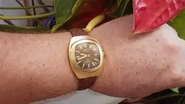 IMGP3040.webp