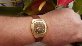 IMGP3041.webp