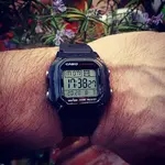 Casio W-800H.webp