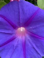 606D1A13-C3ED-418D-A3D7-8C7E78742F20.webp