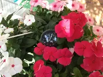 1BD2D5A3-FFF0-49CE-8149-FEED59E659DD.webp