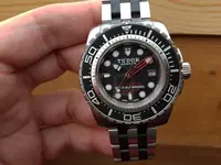 tudor4.webp