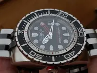 tudor5.webp