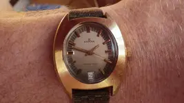 IMGP3103.webp