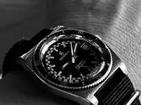 262FE95E-B5EA-4D68-B2F5-CB32BAA6D799.webp