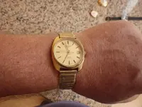 IMGP1908.webp