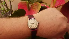 IMGP3108.webp