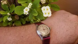 IMGP3117.webp