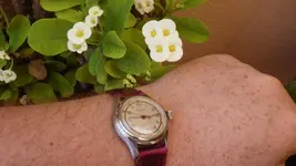 IMGP3118.webp