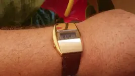 IMGP3120.webp
