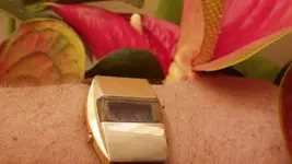 IMGP3122.webp