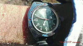 IMG_20200804_184746_wm.webp IMG_20200804_184746_wm.webp