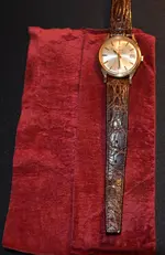 OMEGA5a.webp OMEGA5a.webp