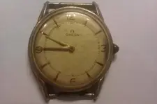 IMAG0239.webp
