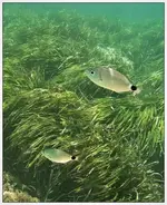 vlcsnap-2020-07-22-20h06m56s998.webp vlcsnap-2020-07-22-20h06m56s998.webp