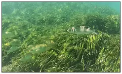 vlcsnap-2020-07-22-11h34m39s114.webp vlcsnap-2020-07-22-11h34m39s114.webp