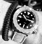 FFB9DC46-3A93-4E45-B760-79E8855E78A0.webp