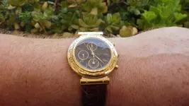 IMGP3061.webp