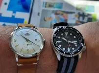 20200817_102606.webp