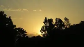 amanece2.webp