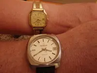 IMGP3158.webp