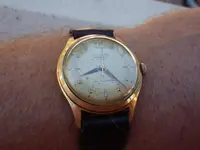 IMGP3273.webp