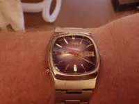 IMGP3278.webp