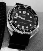2FFF8681-0A80-490F-B420-BB96D5A0F91C.webp