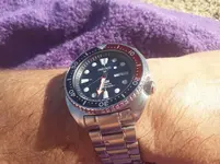 seiko playa.webp