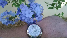 KIMG0193.webp