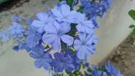 KIMG0195.webp