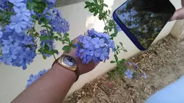 KIMG0197.webp