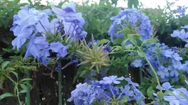 KIMG0200.webp