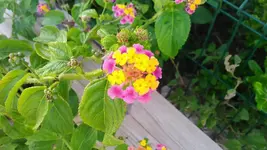 KIMG0210.webp