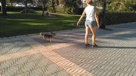 KIMG0184.webp