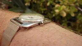 IMGP3202.webp