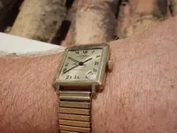 IMGP3293.webp