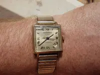 IMGP3291.webp