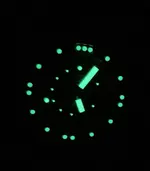 IMG_1310.jpg IMG_1310.jpg